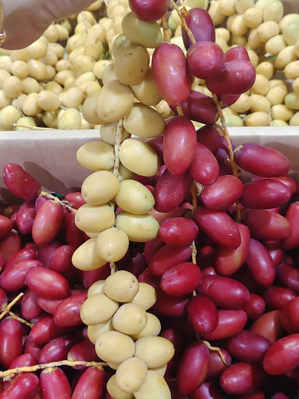 Kurma muda 100 gram