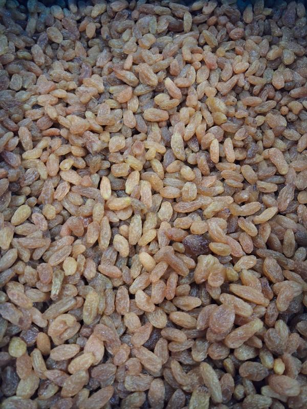 kismis manis