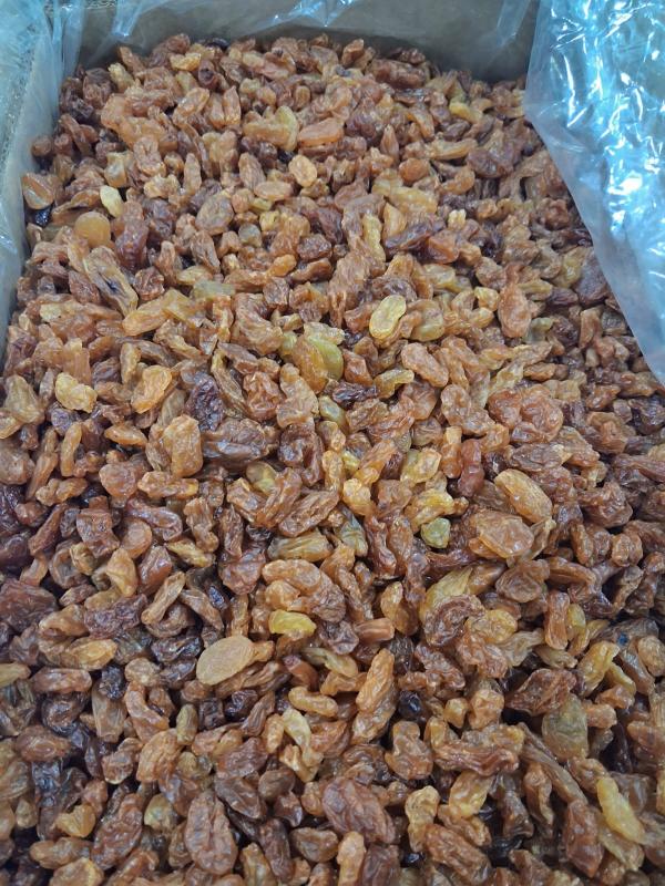 kismis asam